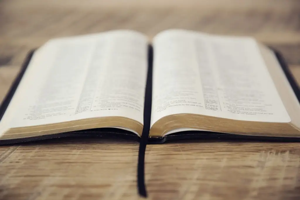 You Can Prove Anything by the Bible